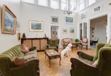Nueva York con tu perro: los hoteles que te van a recibir como en casa