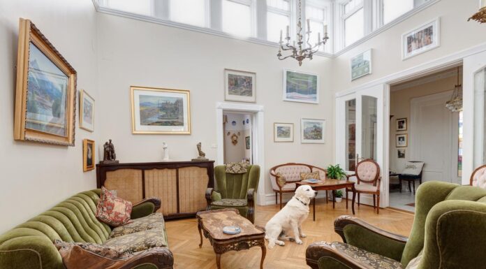 Nueva York con tu perro: los hoteles donde tu amigo de 4 patas será como un huésped VIP