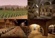 Por qué la ruta del vino en Mendoza es el viaje que tenés que hacer este año