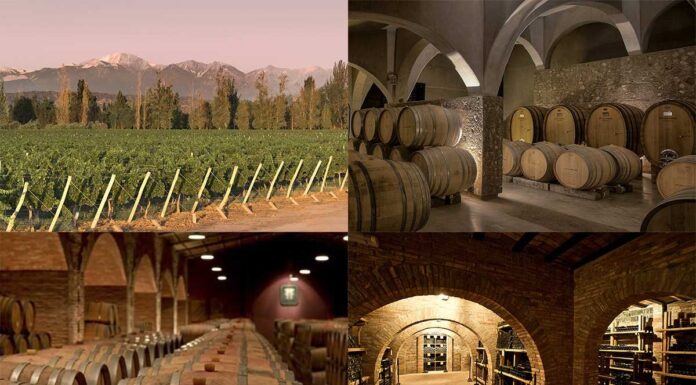 Por qué la ruta del vino en Mendoza es el viaje que tenés que hacer este año