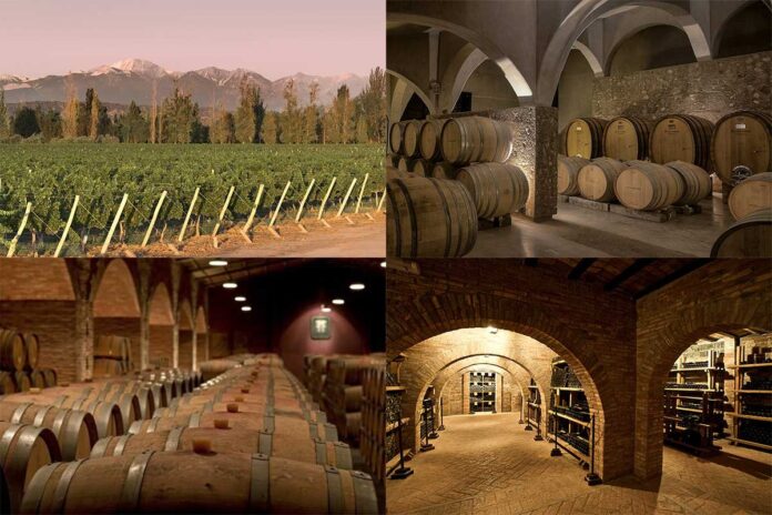 bodegas-mendoza