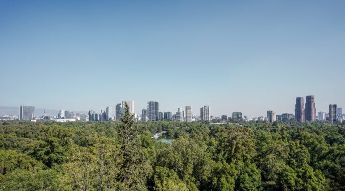 Por qué Coyoacán es el corazón bohemio que te va a enamorar de Ciudad de México