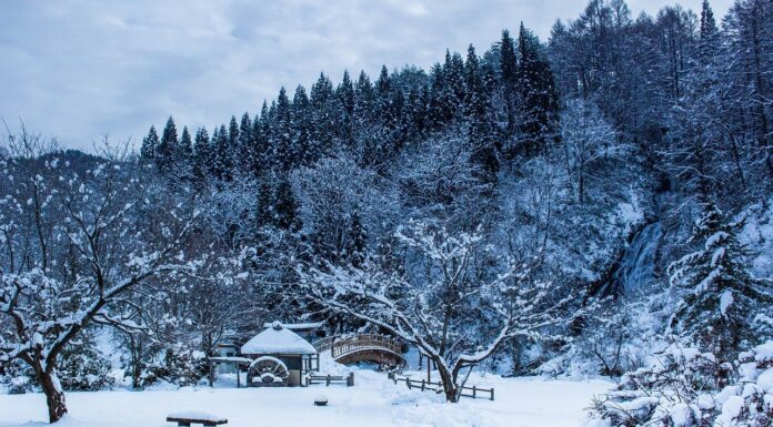Niseko es el lugar donde el snowboard se convierte en una obsesión: la guía completa para tu viaje