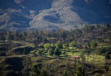 Las Sierras de Córdoba: el camping perfecto para viajar con tu perro sin dejar a nadie en casa