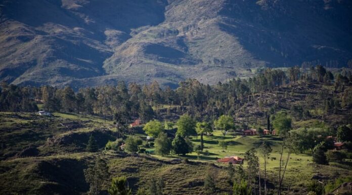 Las Sierras de Córdoba: el camping perfecto para viajar con tu perro sin dejar a nadie en casa