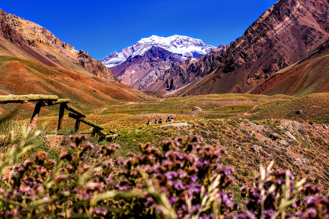 El Chaltén no es solo para alpinistas: tres treks que podés hacer sin experiencia previa