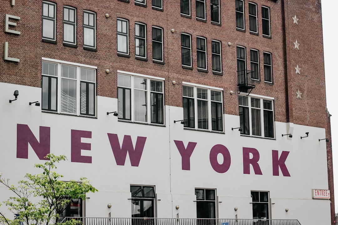 Nueva York con tu perro: los hoteles donde tu amigo de 4 patas será como un huésped VIP
