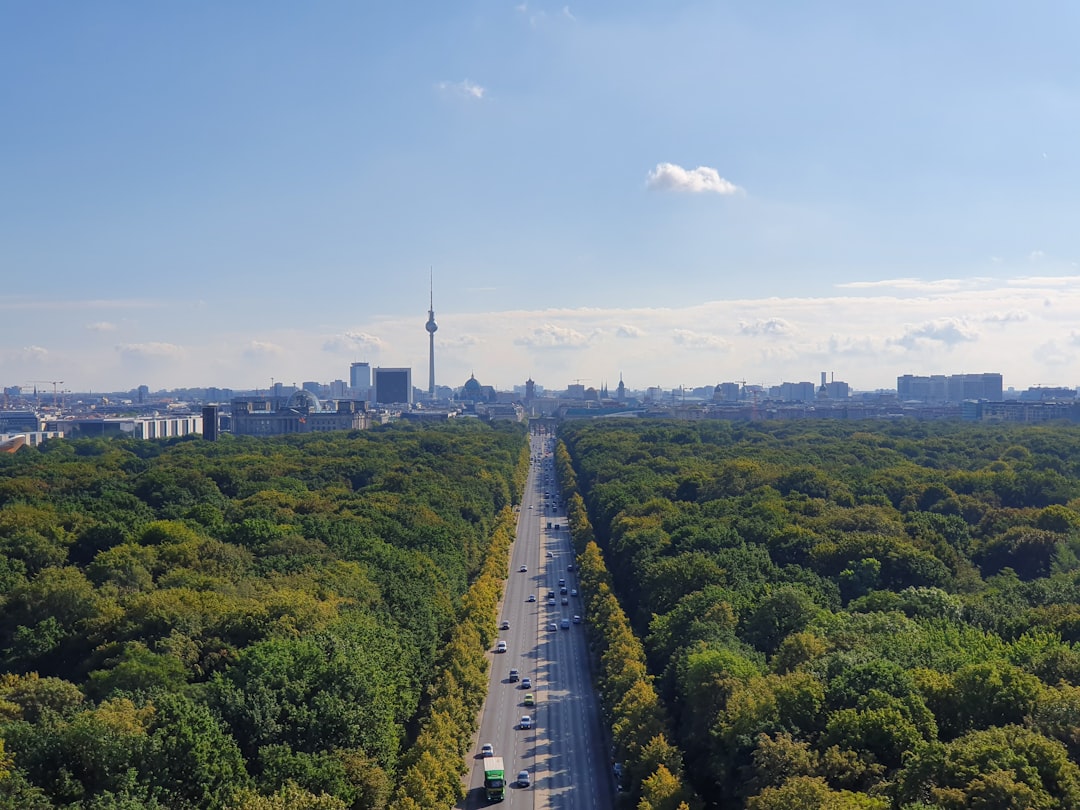 Berlín con tu perro: los 5 parques donde tu compañero peludo será el rey
