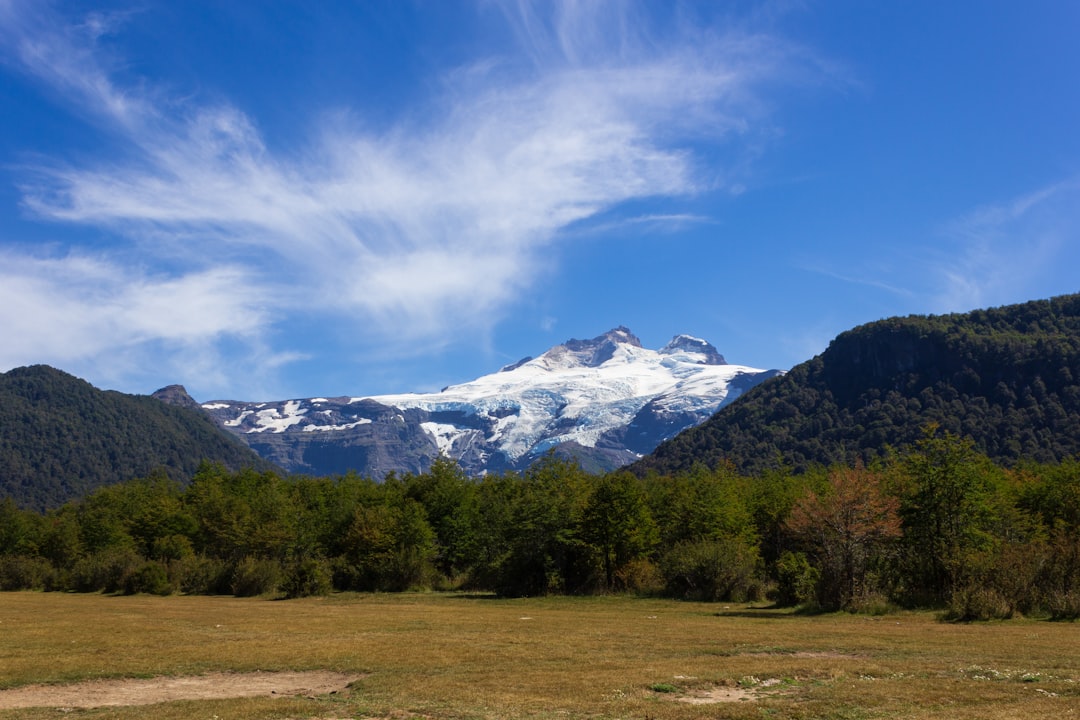 Volá con tu perro a Bariloche: la guía que necesitabas para un viaje sin estrés