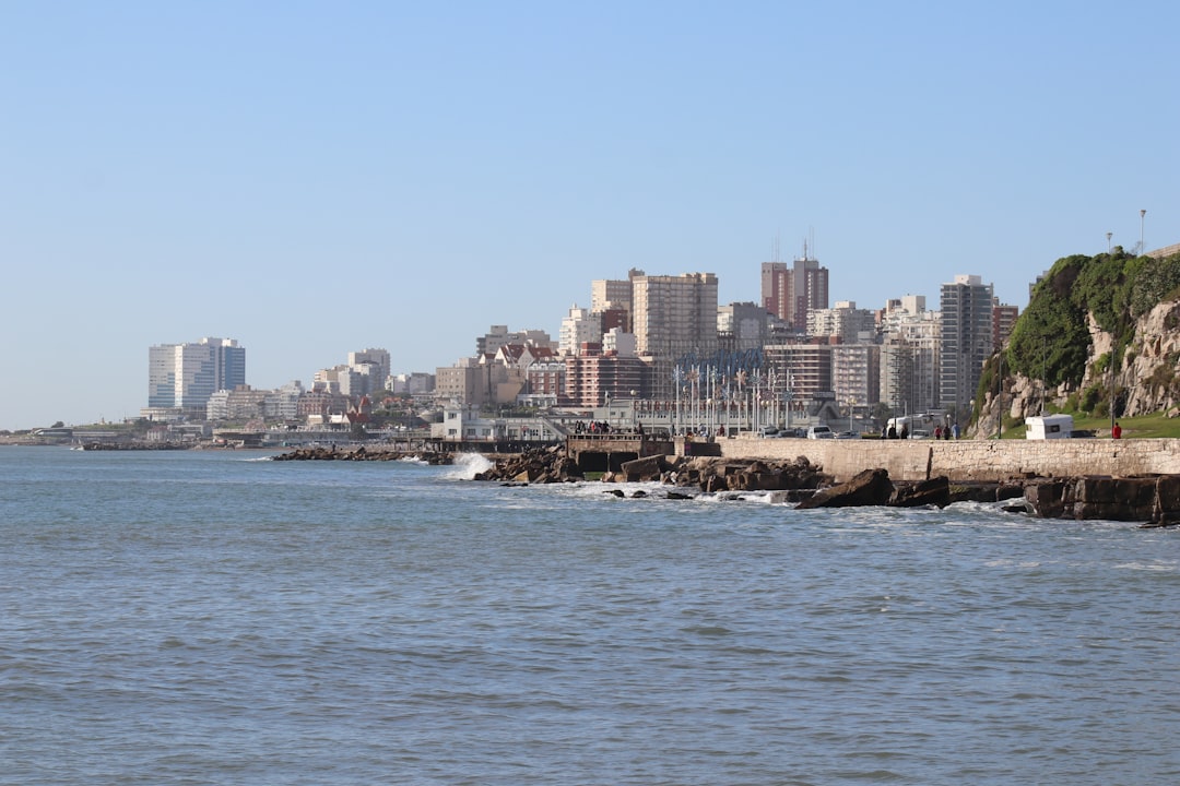 Bucear en Mar del Plata: el mundo submarino que te va a cambiar la perspectiva del océano