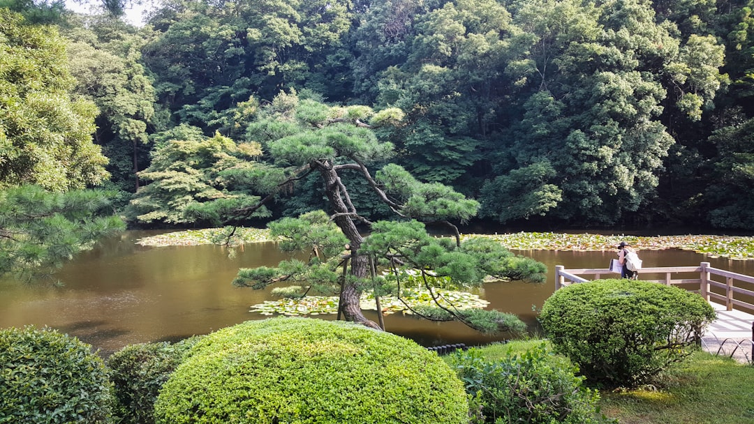 Los museos de Tokio que todo viajero argentino debe visitar antes de morirse