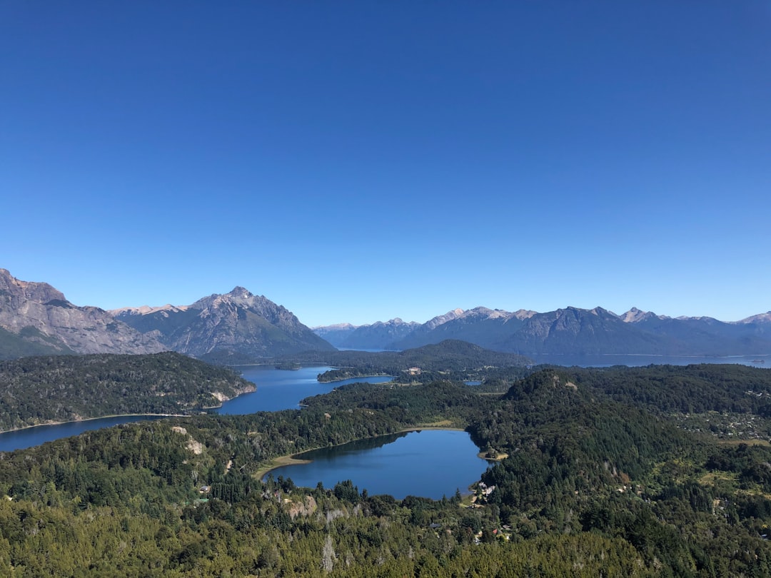 Viajar con tu perro a Bariloche: la guía completa para no dejar a tu mejor amigo en casa