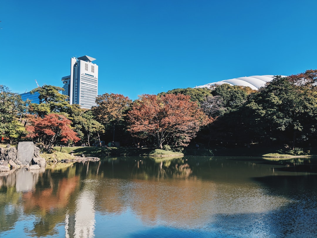 Los museos de Tokio que te van a cambiar la forma de ver el arte japonés
