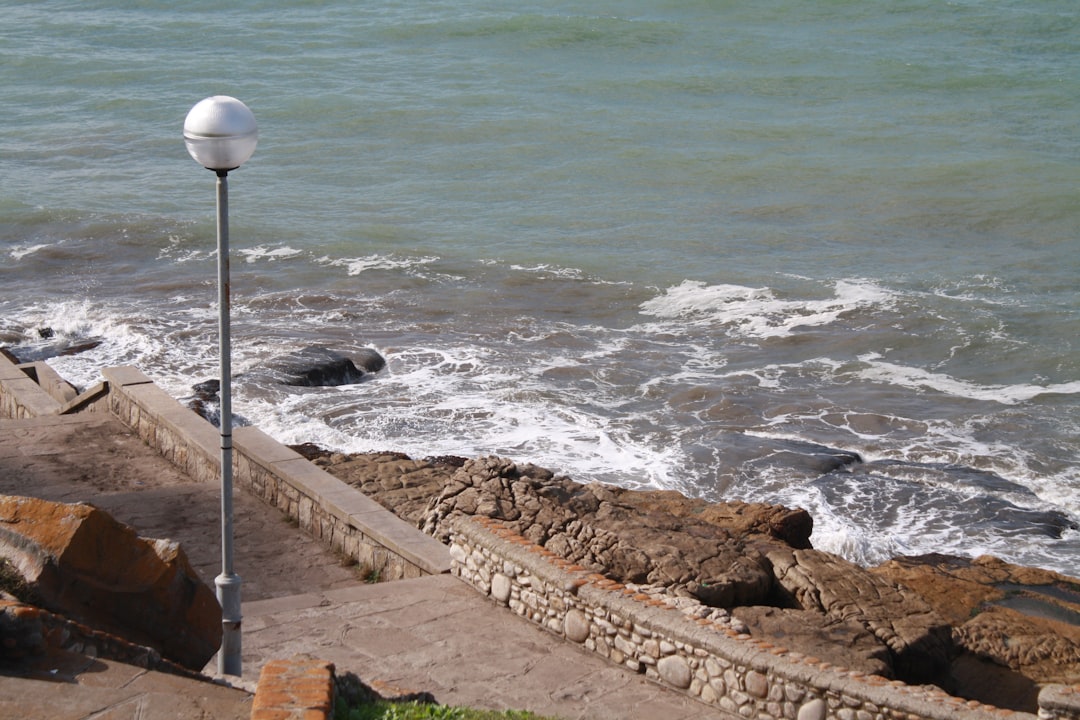 Buceo en Mar del Plata: el mundo submarino que te estaba esperando