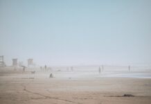 Pinamar es el paraíso que buscabas para viajar con tu perro: playas, hoteles y diversión garantizada