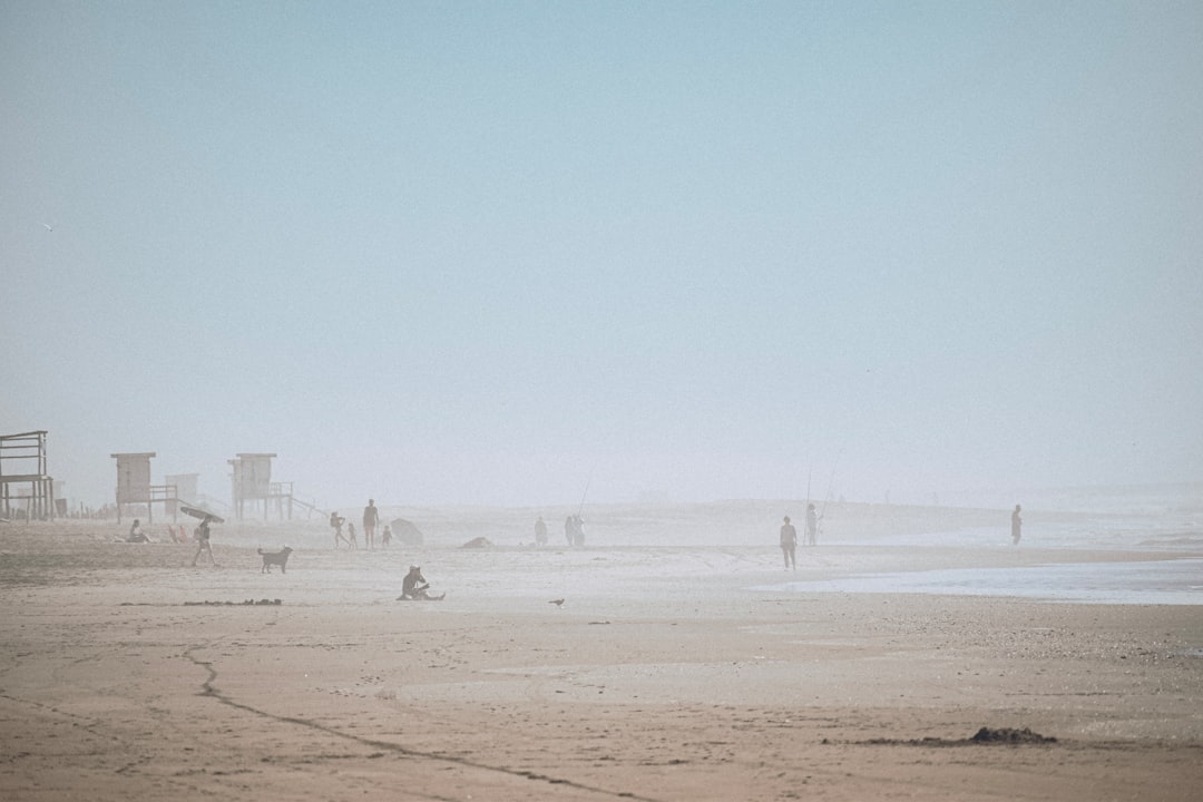 Pinamar con tu perro: la playa donde los amigos de 4 patas son realmente bienvenidos