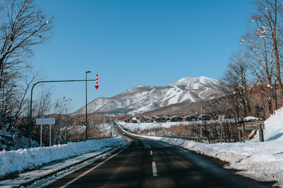 Niseko es el lugar donde el snowboard se convierte en una obsesión: la guía completa para tu viaje