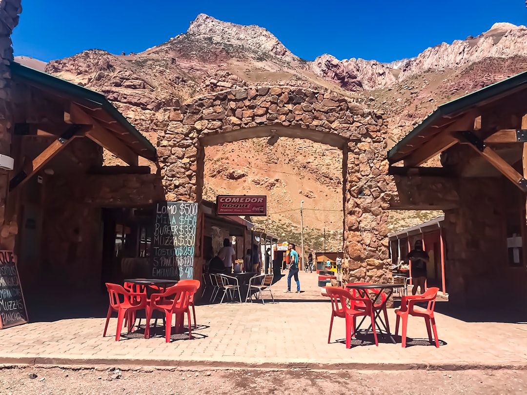 Pedaleá entre viñedos: la ruta en bicicleta que te devuelve a Mendoza cada temporada