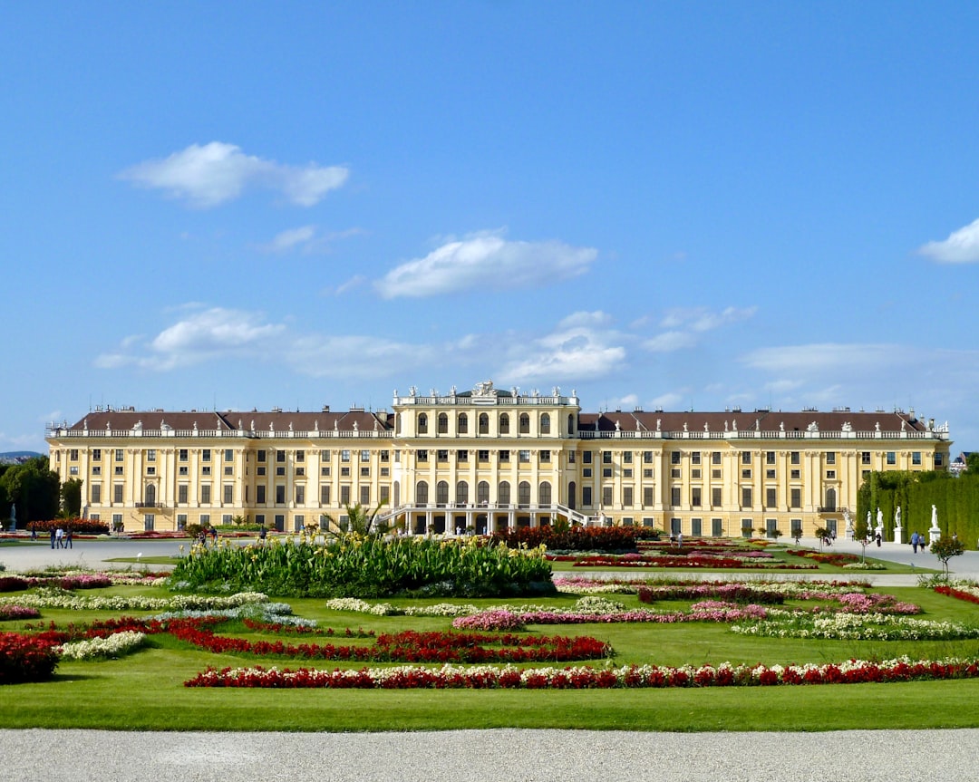 Por qué Viena es el destino europeo perfecto para viajar con tu perro