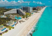 Cancún con tu perro: los hoteles donde tu compañero peludo es tan bienvenido como vos
