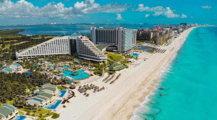 Cancún con tu perro: los hoteles donde tu compañero peludo es tan bienvenido como vos
