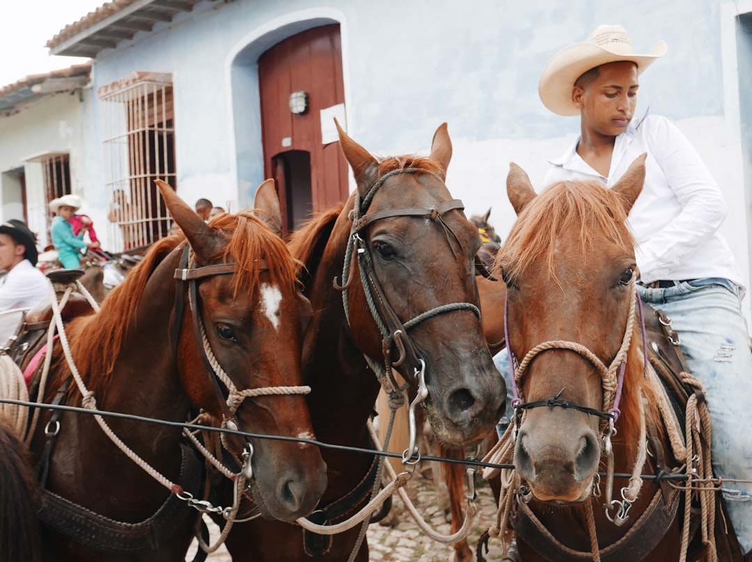 San Antonio de Areco: el pueblito donde la tradición gaucha sigue viva como hace 300 años