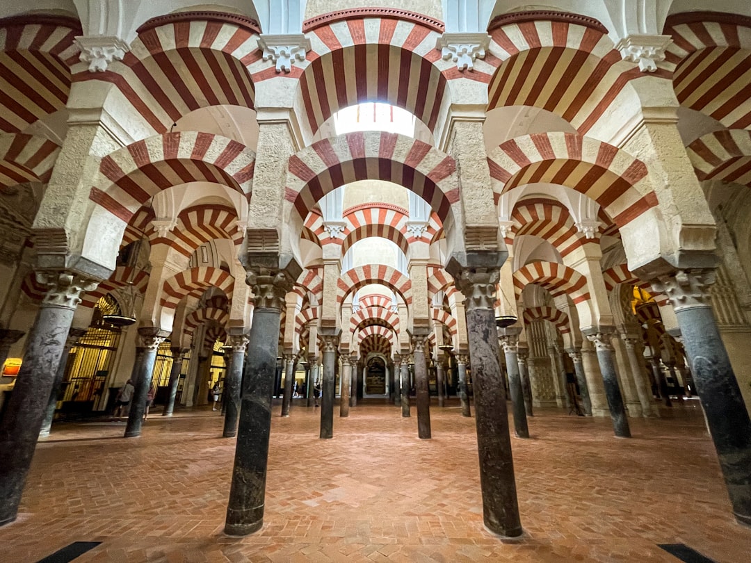 Los museos de Córdoba que no podés perderte en verano: cultura sin límite de edad