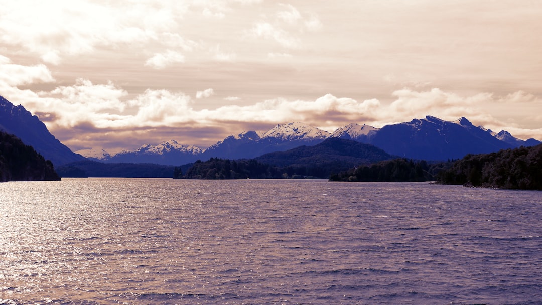 Viajar con tu gato a Bariloche: la guía completa para una aventura sin estrés
