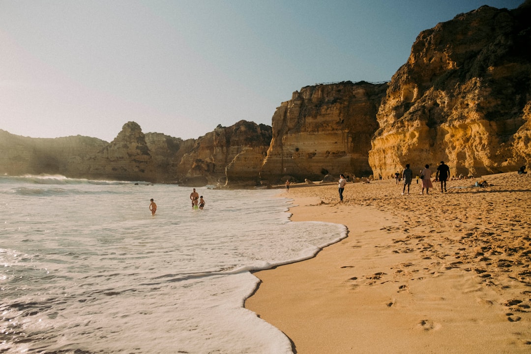 Portugal con tu perro: las playas donde tu compañero peludo puede disfrutar del verano