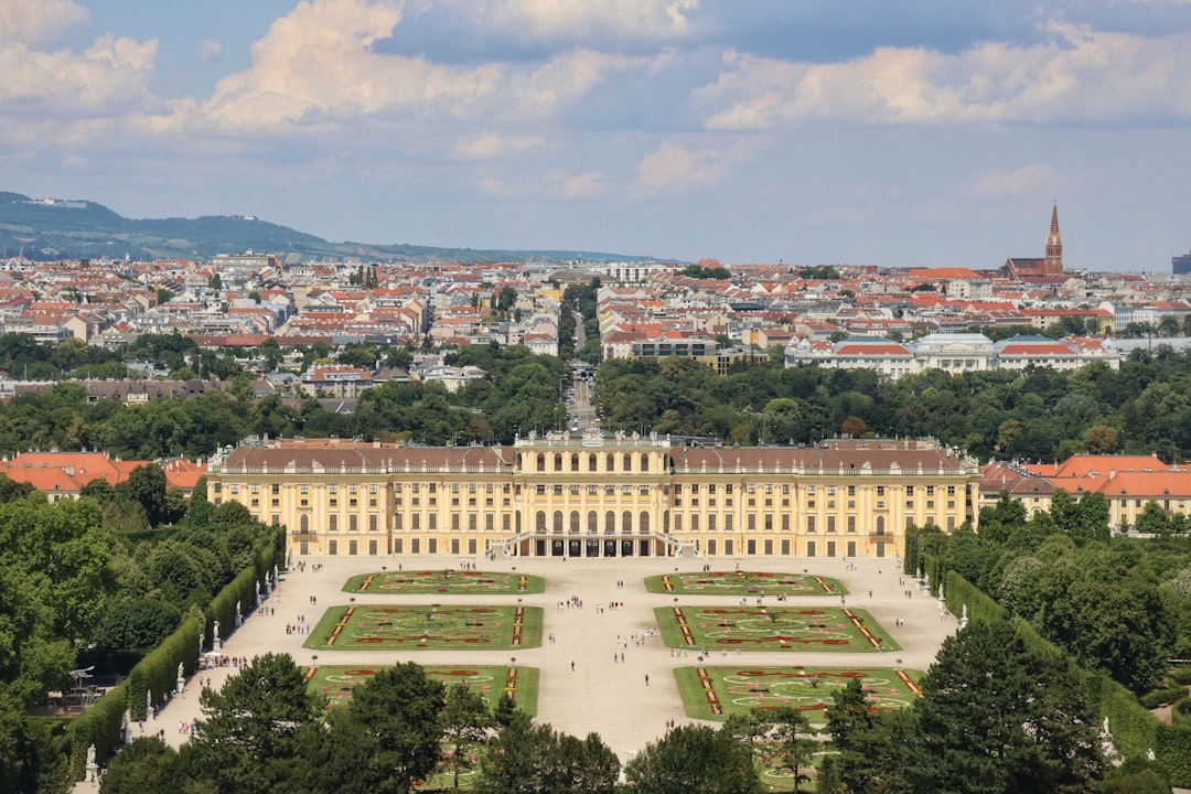 Por qué Viena es el destino europeo perfecto para viajar con tu perro