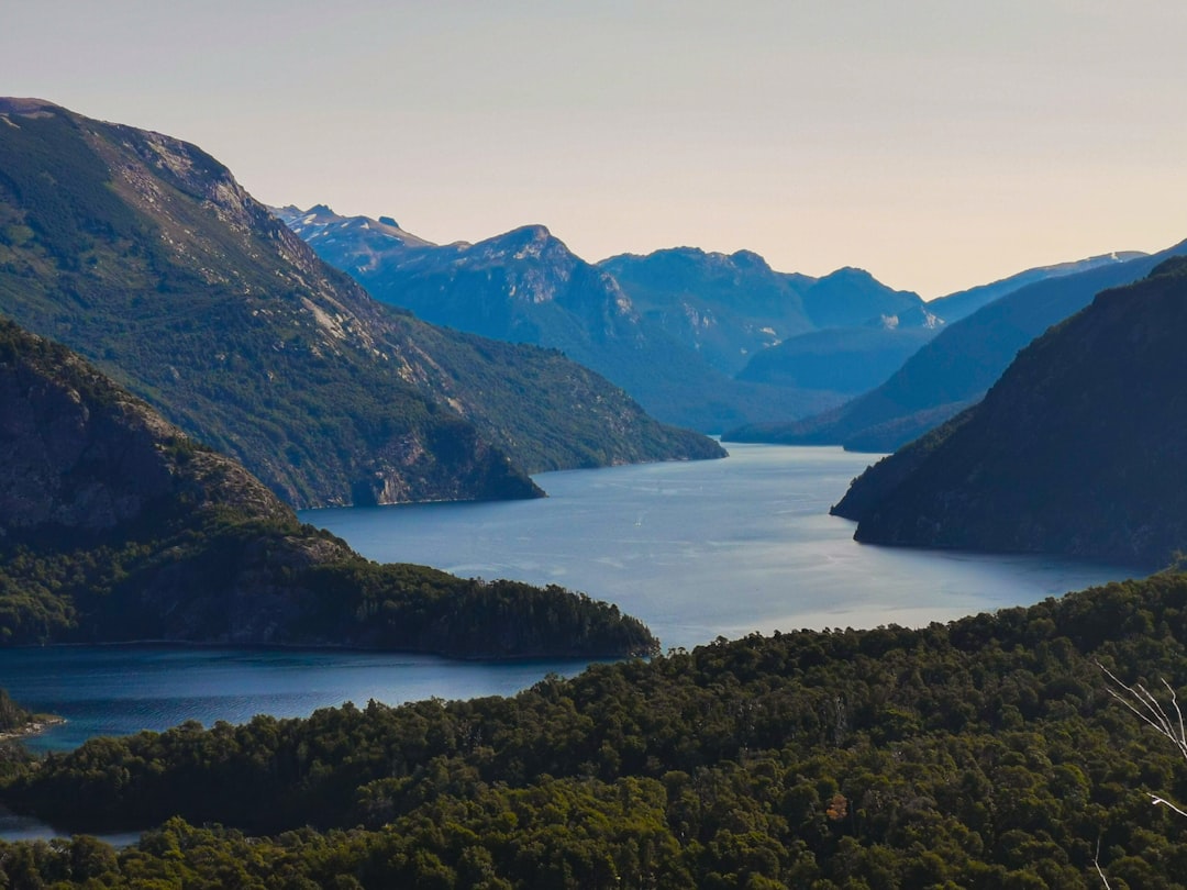 Viajar con tu gato a Bariloche: la guía completa para una aventura sin estrés