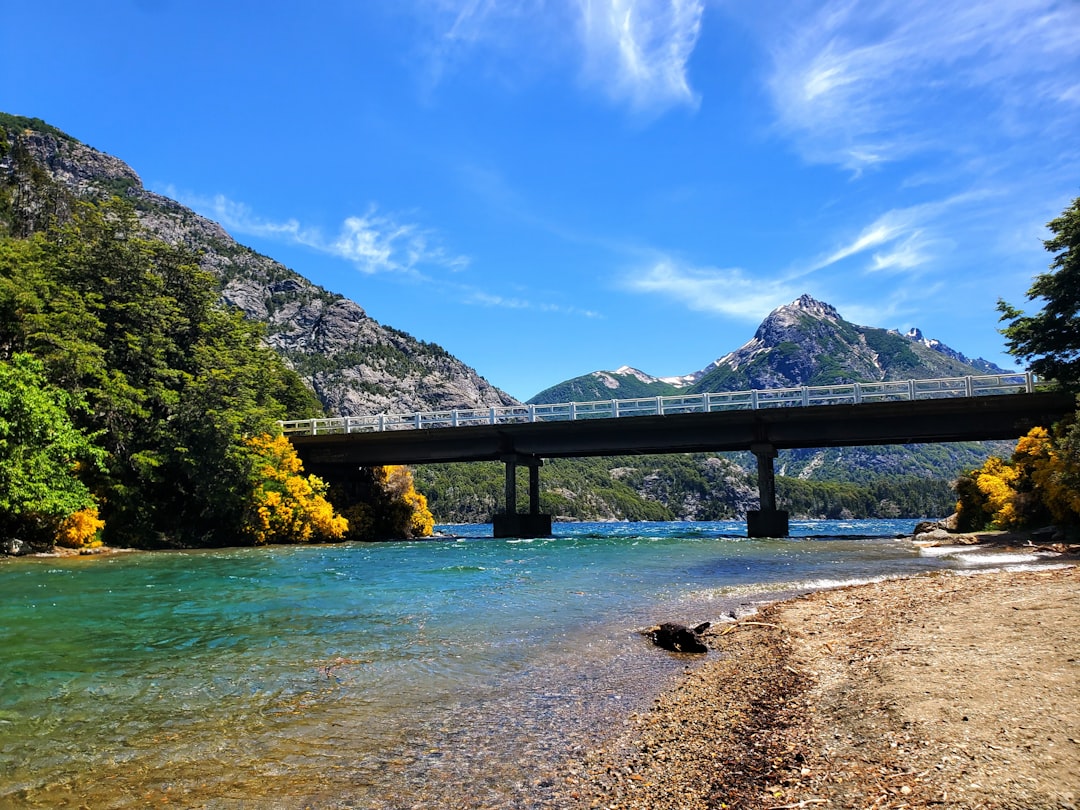 Volá con tu perro a Bariloche: la guía que necesitabas para un viaje sin estrés