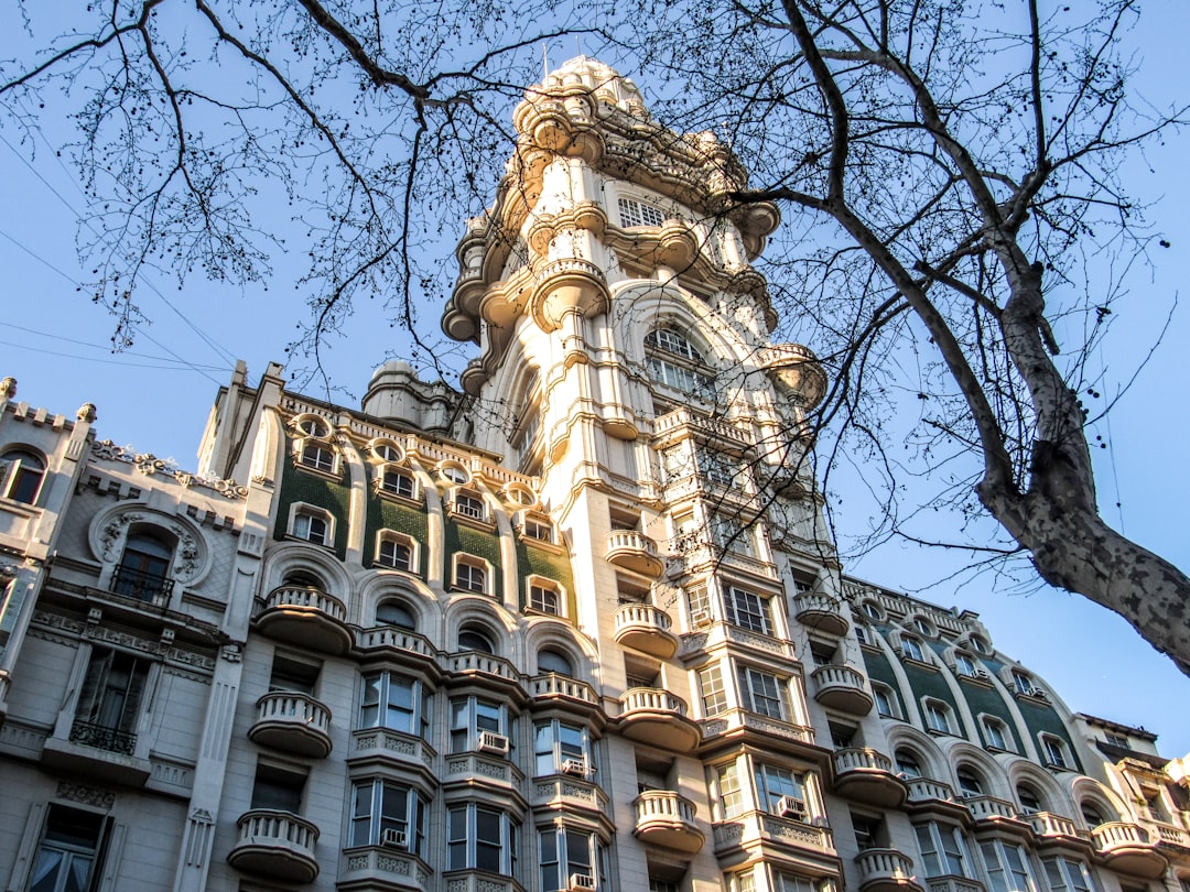 Viajar a Buenos Aires con tu perro: los mejores hoteles pet friendly que deberías conocer