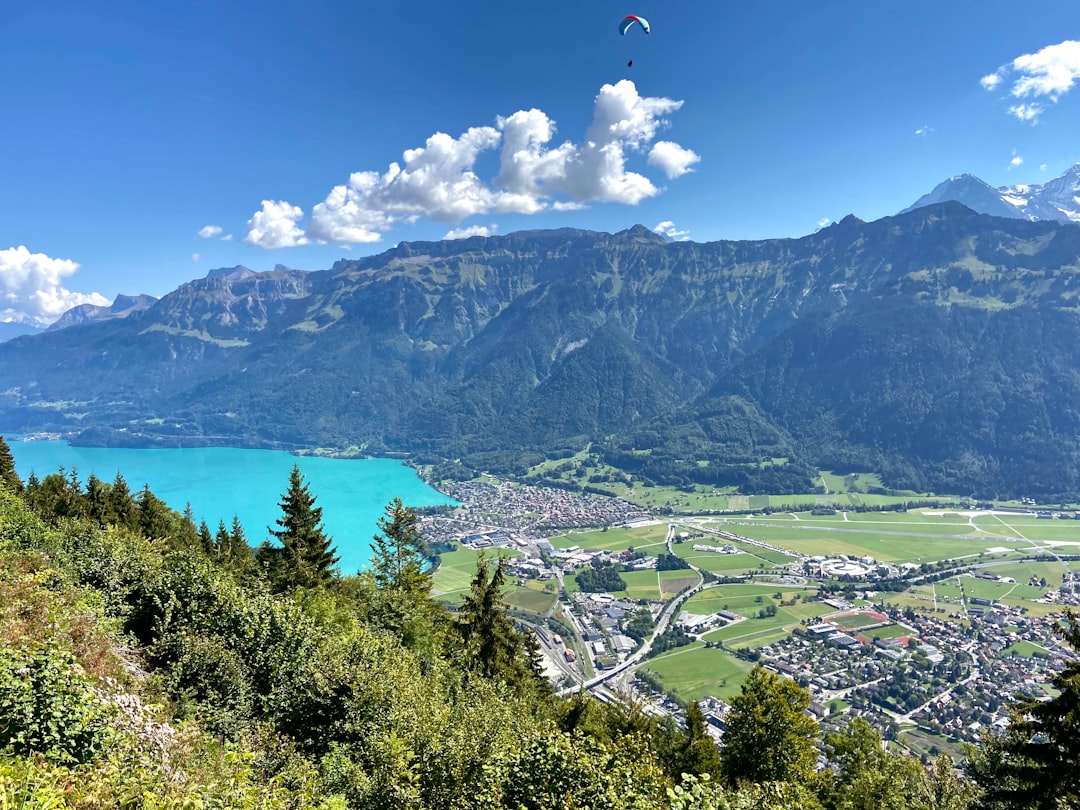 Volás sobre los Alpes: por qué el parapente en Interlaken es la adrenalina que te faltaba