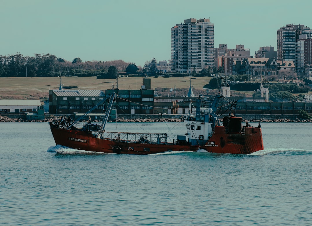 Bucear en Mar del Plata: el mundo submarino que te va a cambiar la perspectiva del océano