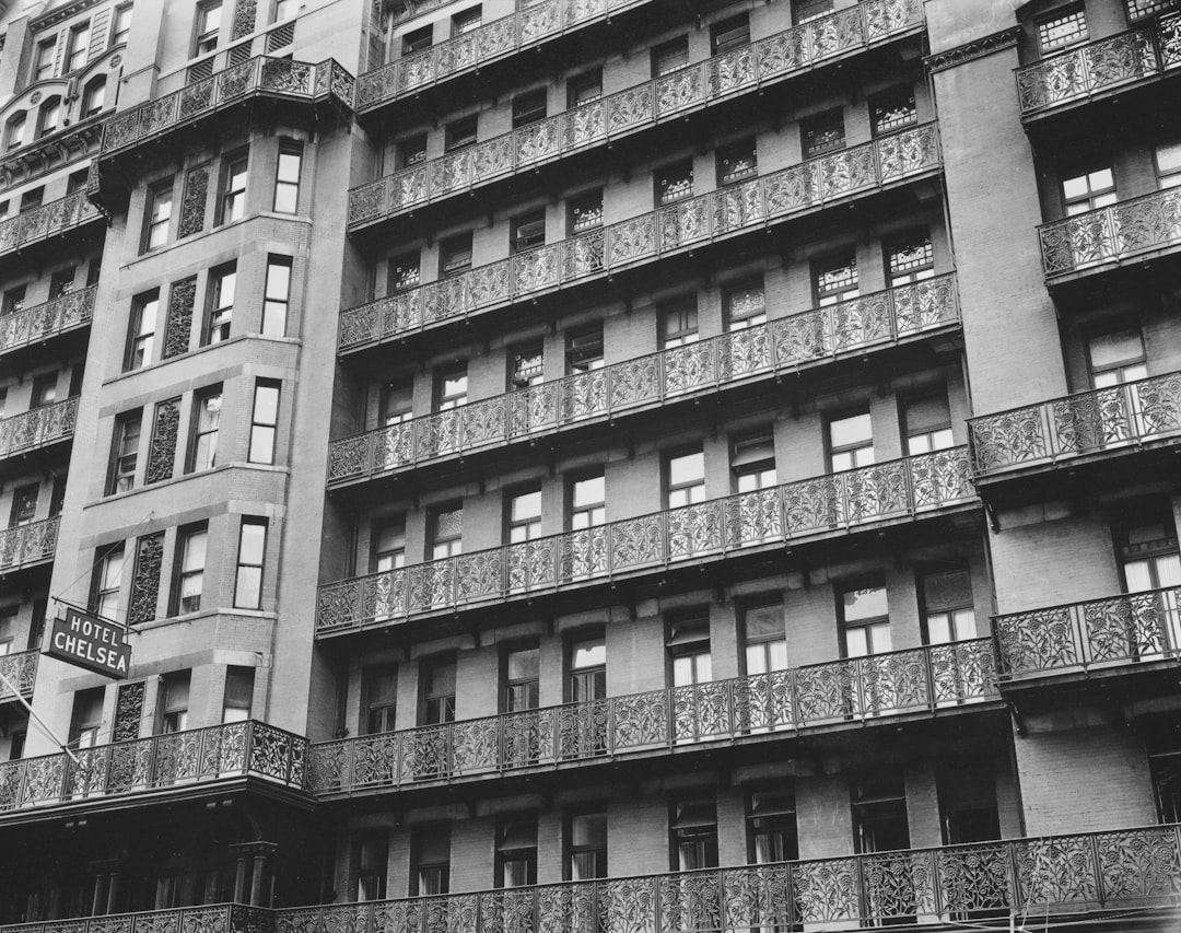 Nueva York con tu perro: los hoteles que te van a recibir como en casa