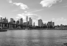 Viajar a Nueva York con tu perro: los mejores hoteles pet friendly de Manhattan