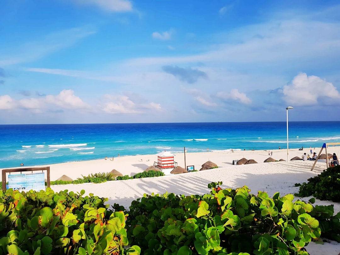 Cancún con tu perro: los hoteles donde tu mejor amigo es tan bienvenido como vos