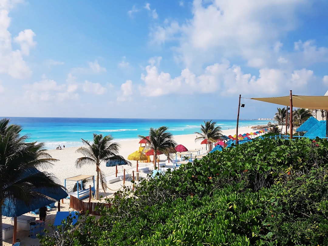 Cancún con tu perro: los hoteles donde tu mejor amigo es tan bienvenido como vos