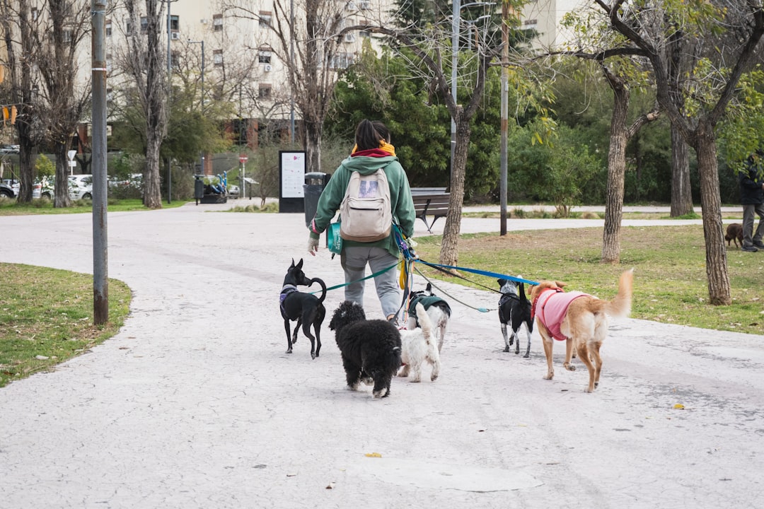 Los mejores parques de Buenos Aires para pasear con tu perro sin preocupaciones