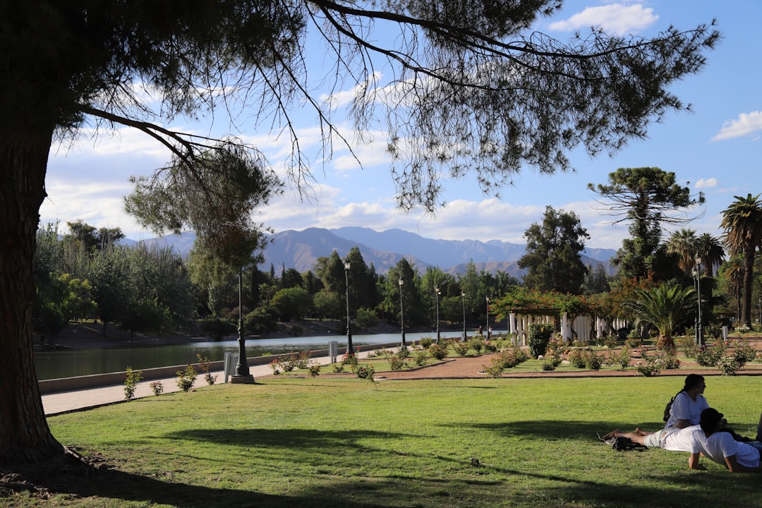 Mendoza con tu perro: los mejores hospedajes donde tu compañero peludo es bienvenido