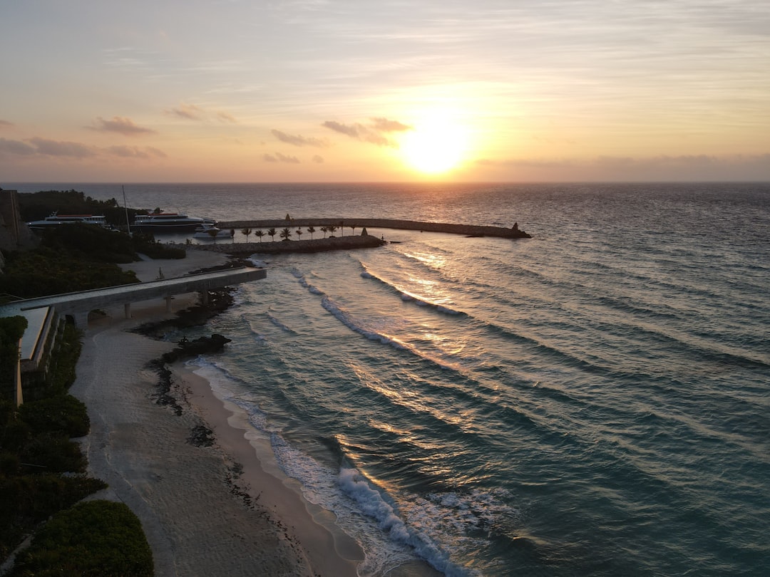Cancún con tu perro: los hoteles donde tu compañero peludo es tan bienvenido como vos