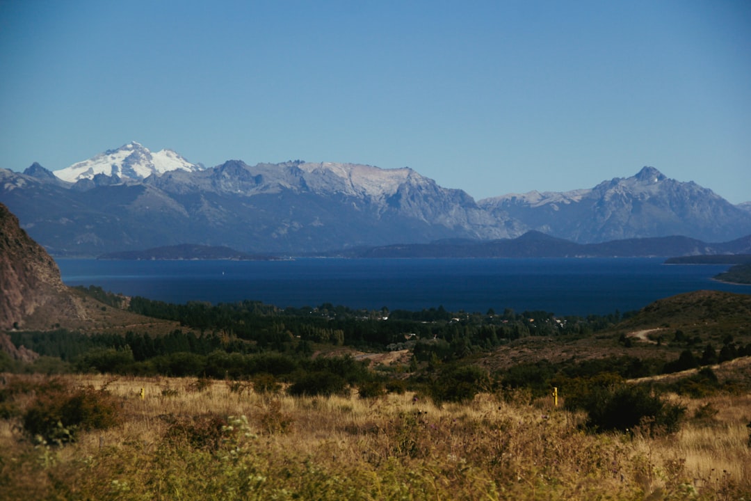 Volá con tu perro a Bariloche: la guía que necesitabas para un viaje sin estrés