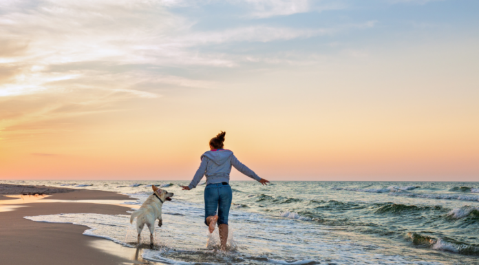 Pinamar con tu perro: la playa donde tu compañero peludo es el verdadero protagonista
