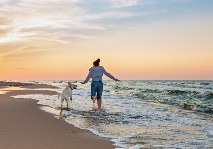 playas-pet-friendly-en-argentina-3-destinos-en-la-costa-atlantica-para-disfrutar-este-verano-con-tu-mascota-1769546673984_1280