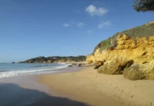 Portugal con tu perro: las playas donde tu compañero peludo puede disfrutar del verano