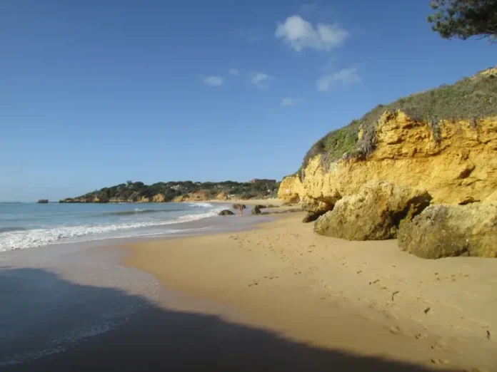 praias-para-caes-portugal-pet-friendly-hero