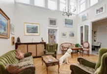 Viajar a Buenos Aires con tu perro: los mejores hoteles pet friendly que te sorprenderán