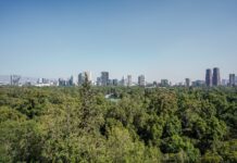Coyoacán: el barrio bohemio de Ciudad de México que te va a enamorar