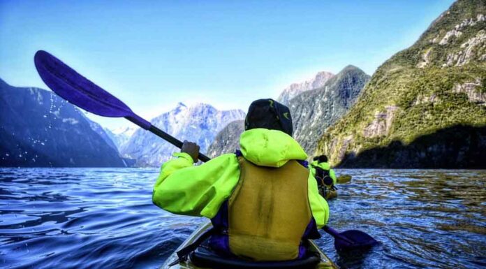 Doubtful Sound en kayak: el fiordo que New Zealand guarda celosamente para los aventureros